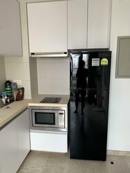 Haig 162 (D15), Apartment #553364521
